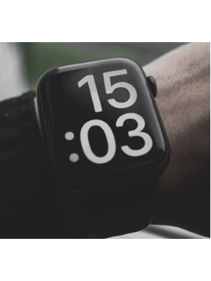 SOFTWARE TimerArionplus CLOUD-ATT (SAAS)