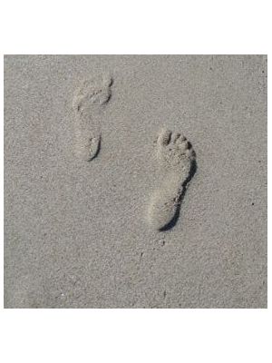 TimerArionplus CLOUD-AC (SAAS)